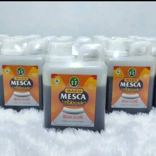 MESCA_500.jpeg